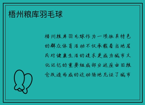 梧州粮库羽毛球